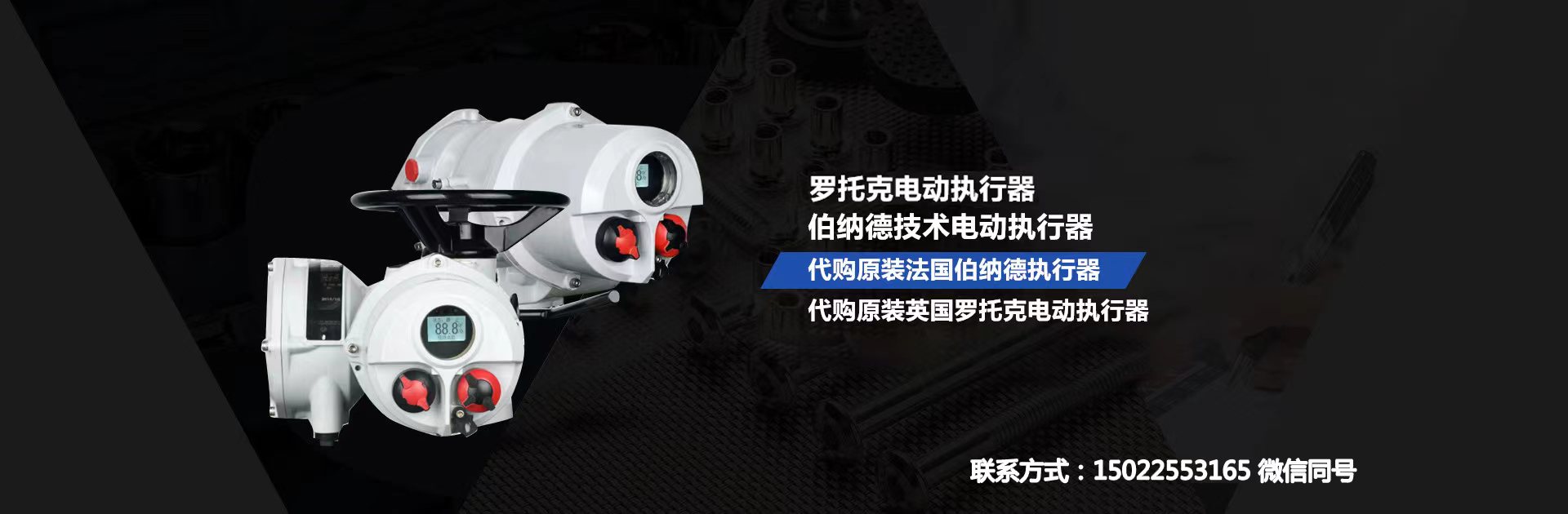 罗托克（天津）仪表有限公司